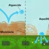 AquaSticker - Image 2