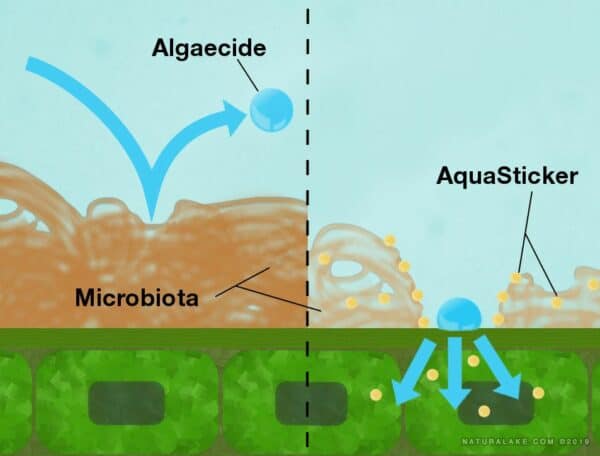 AquaSticker - Image 2