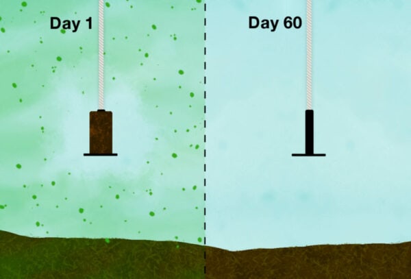 MicrobeBooster - Image 2