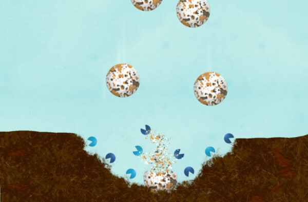 MuckBiotics - Image 2