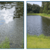 Quattro-DB Blu® - Image 9
