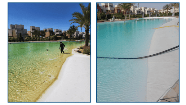 Quattro-DB Blu® - Image 6