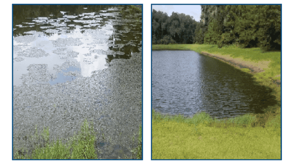 Quattro-DB Blu® - Image 9